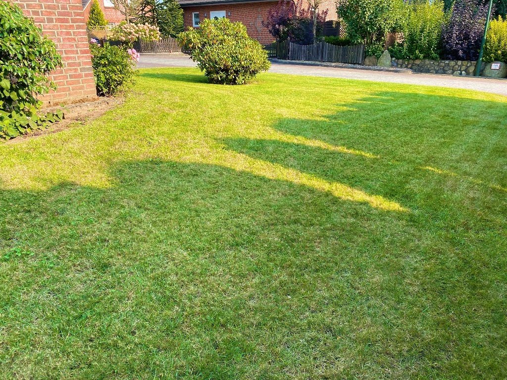 Traumhaftes Einfamilienhaus mit Einliegerwohnung in ruhiger Wohnlage von Nützen