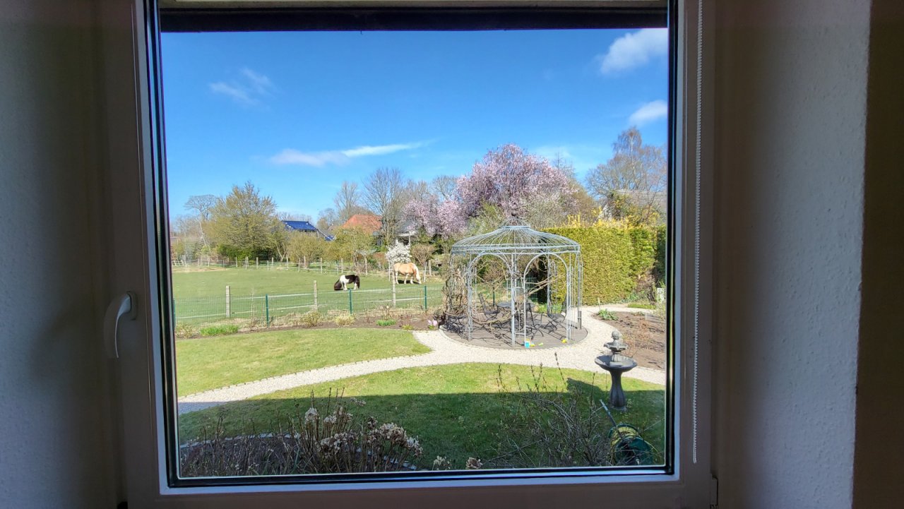 Blick vom Wohnzimmer Blick vom Wohnzimmer