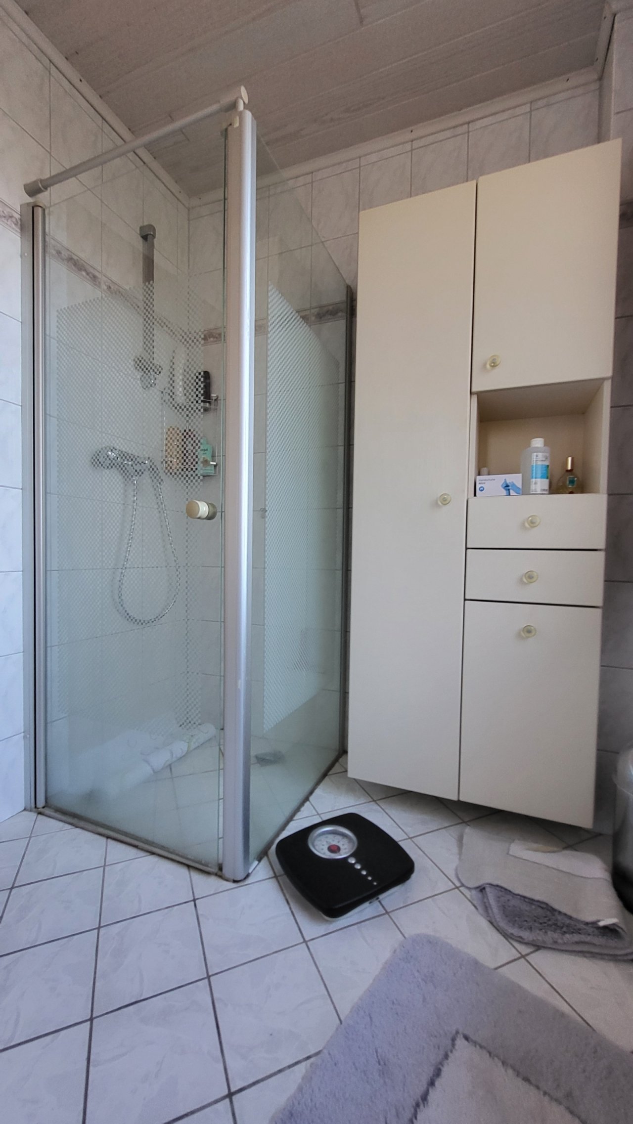 Gäste-WC mit Dusche 