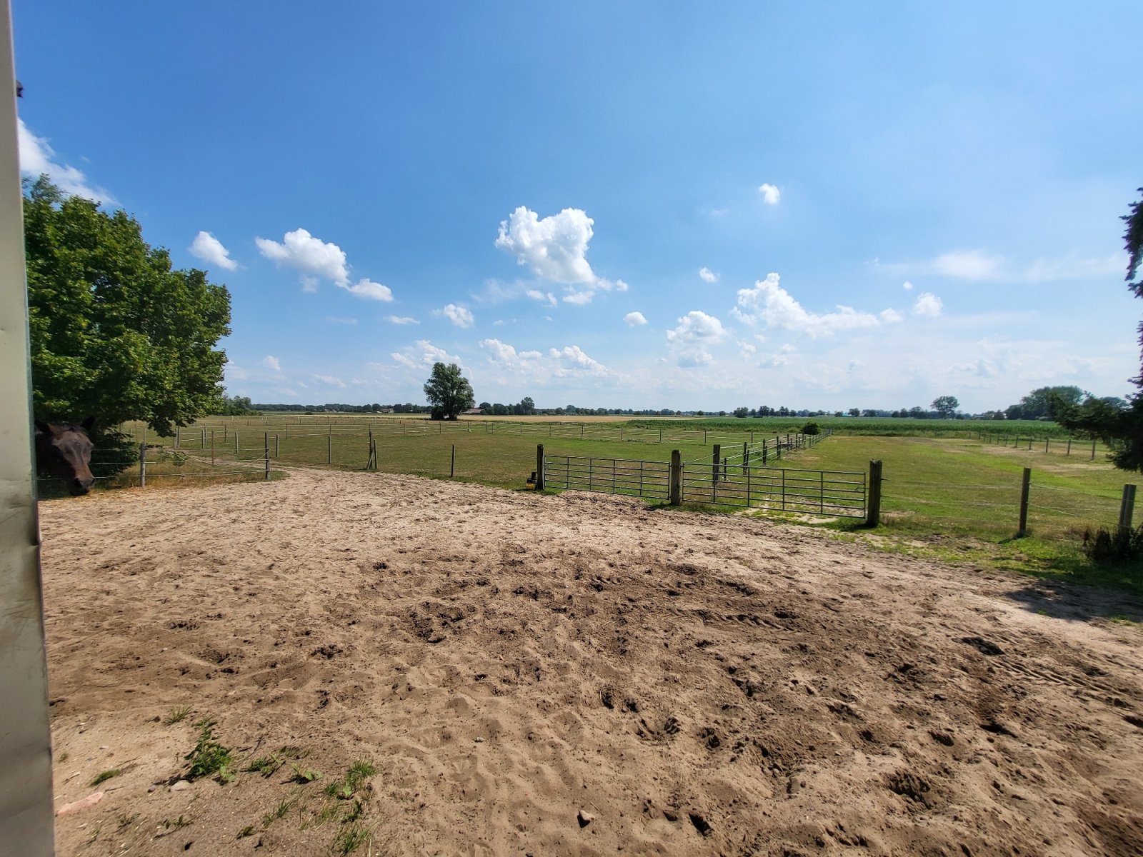 Blick zu den Koppeln Blick zu den Koppeln